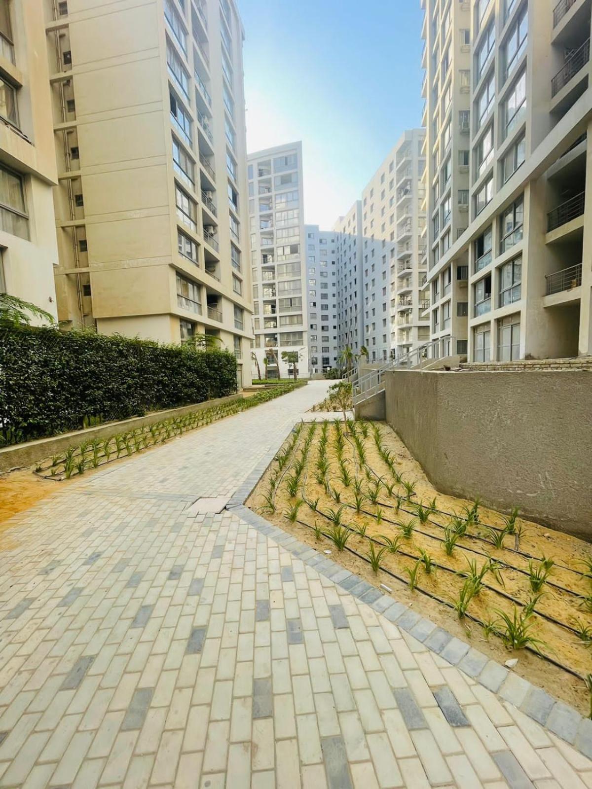 Apartment شقه فندقيه وان قطاميه *